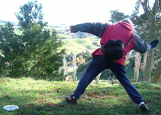 Disc Golf New Zealand